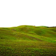Colline verdi con fiori gialli
