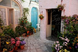Cortile di casa con fiori