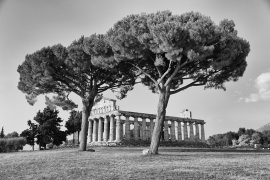 Paestum